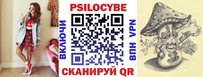 гидра ТОР Адыгейск Галлюциногенные грибы Psilocybe
